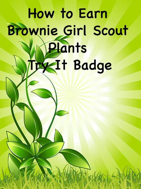 How to Earn Brownie Girl Scout Plants Try It Badge