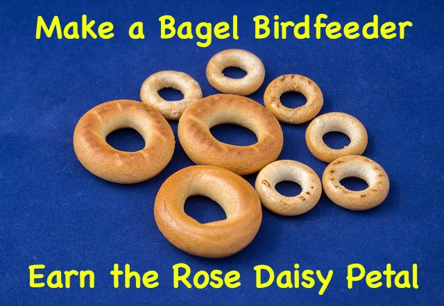 How to earn the rose Daisy petal by making a bagel bird feeder