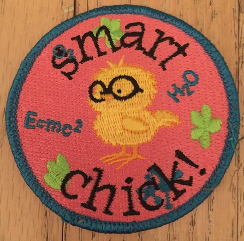 Girl Scout Fun Patch