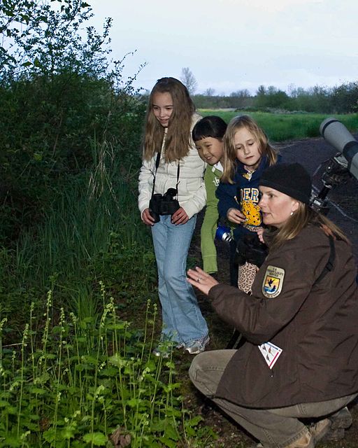 Girl Scout community service project all year long