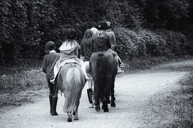 My troop spent their cookie money going horseback riding at a local farm.