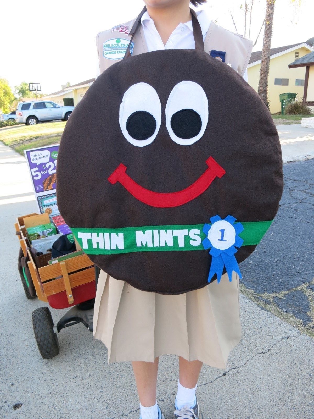 Girl Scout Cookie Thin Mints Costume for booths and walkabouts