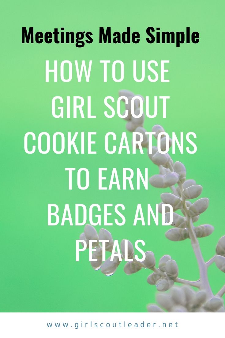 How to Use Girl Scout Cookie Cartons to Earn Badges and Petals