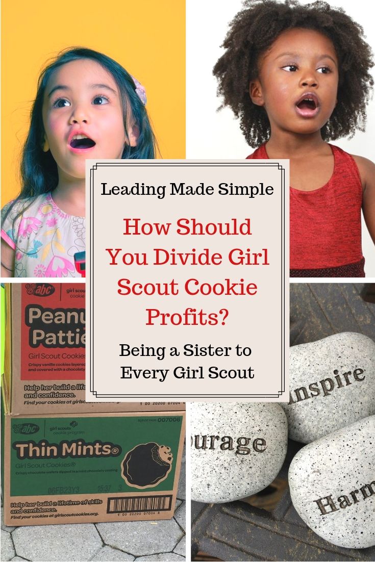 How Should You Divide Girl Scout Cookie Profits