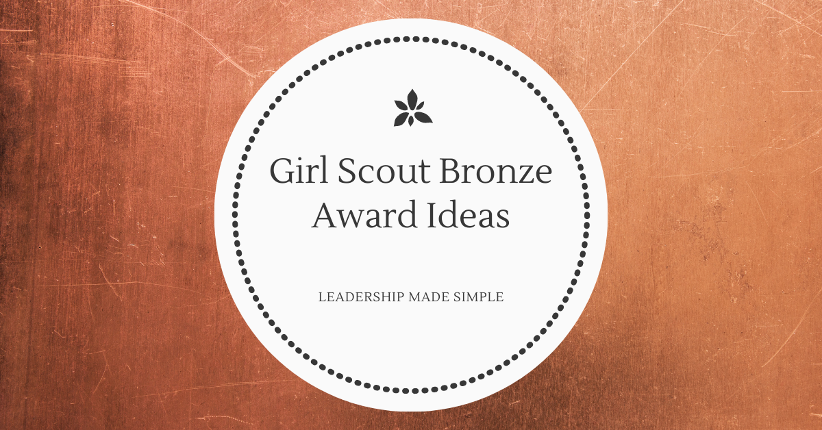 girl-scout-bronze-award-ideas