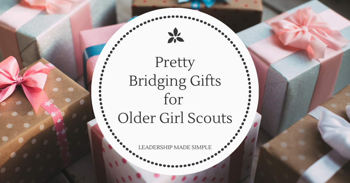 Pretty Bridging Gifts for Older Girl Scouts