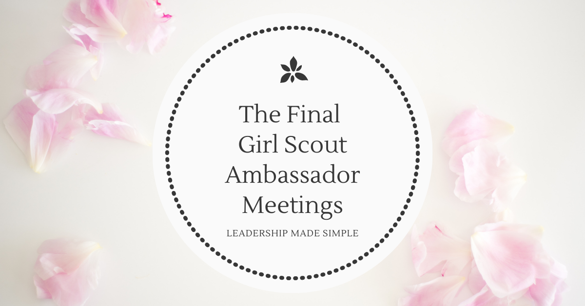 Girl Scout Ambassador Troop Update