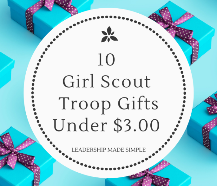 10 Girl Scout Troop Gifts Under $3.00